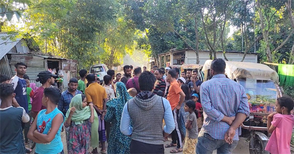 বিয়ানীবাজারে পিকআপের চাপায় শিশুর মৃত্যু